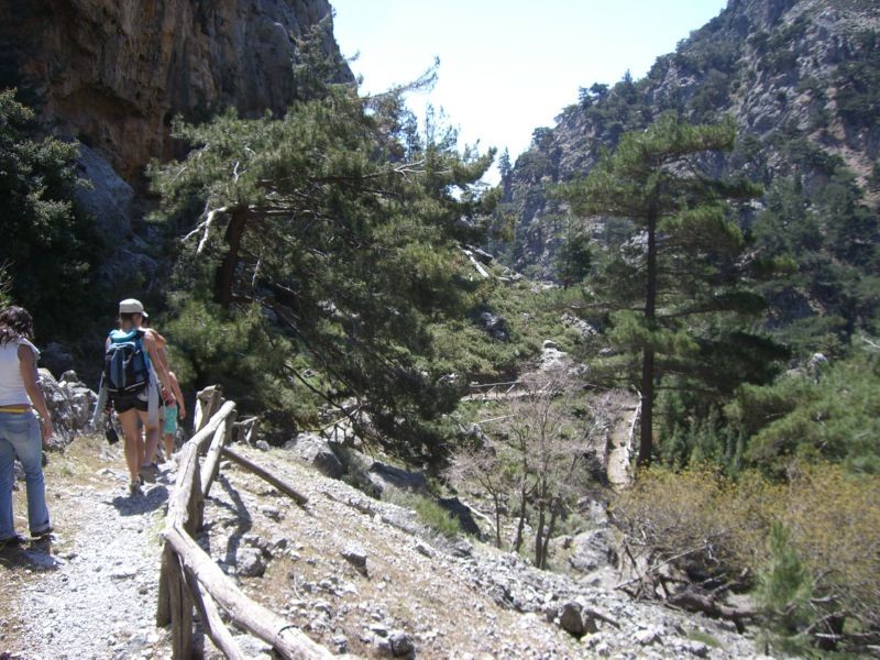 CIMG7258 Irini gorge
